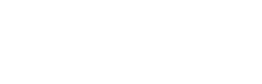 VOICE BY SCHMIDT